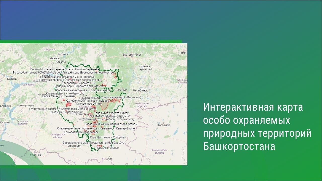 Интерактивная карта ООПТ региона