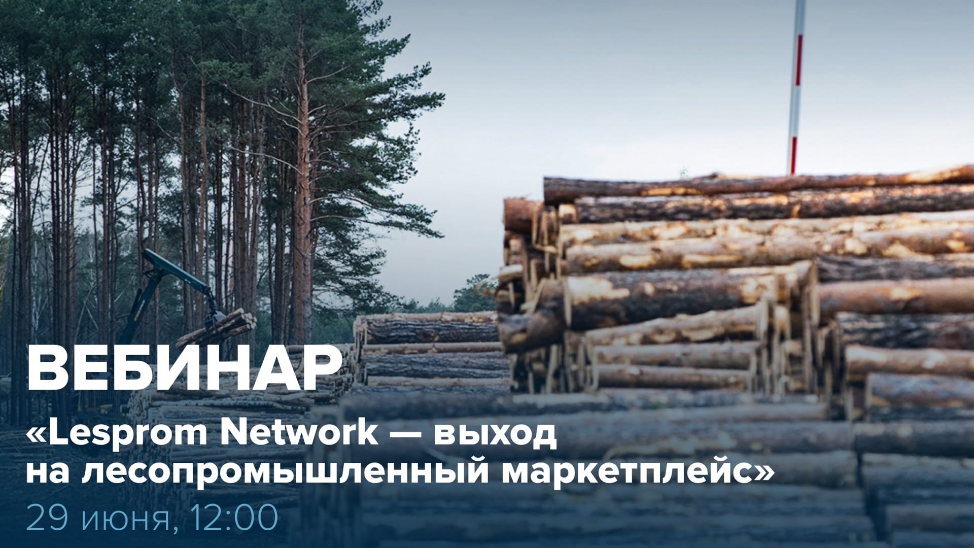 Lesprom Network – выход на лесопромышленный маркетплейс