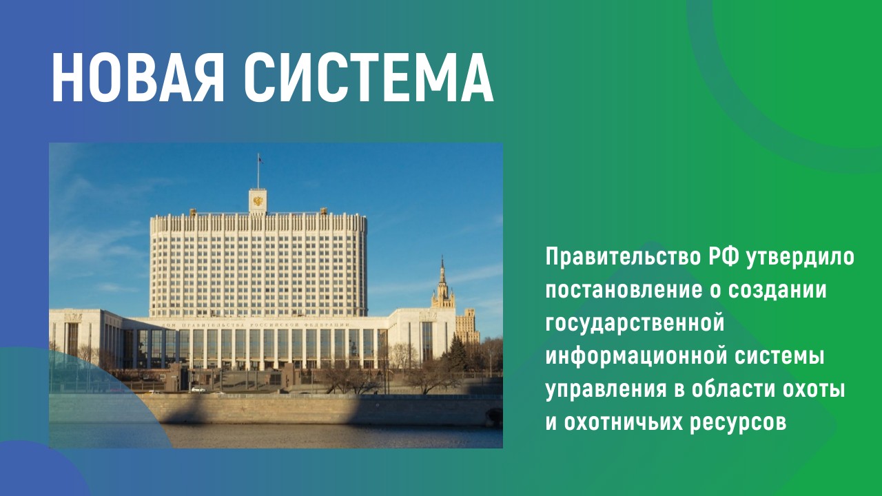 Новая система