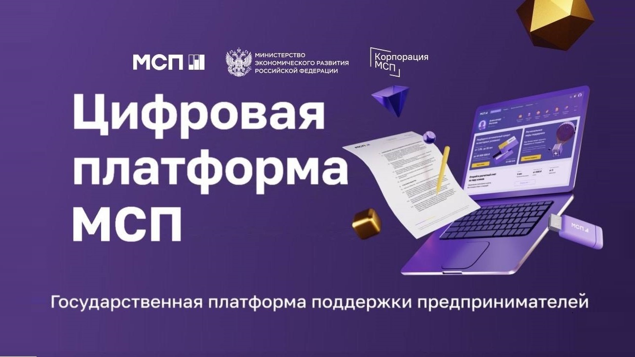 Цифровая платформа МСП